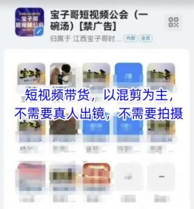 宝子哥头部团队短视频带货,以混剪为主,不需要真人出镜,不需要拍摄【更新9月】-第一资源库