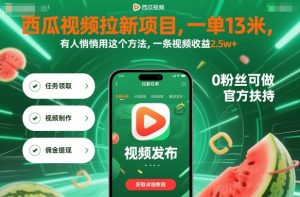 西瓜视频拉新项目,一单13米,有人悄悄用这个方法,一条视频收益2.5w+(附详细教程)-第一资源库