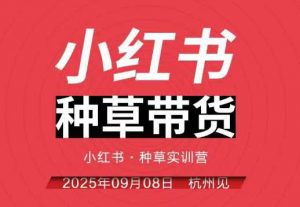 小红书种草带货实训营9月8日杭州线下课,全程录音+字幕,全网唯一小红书实战营-第一资源库