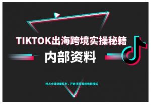 TikTok跨境电商0-1搭建运营，TK出海跨境实操秘籍（10月更新）-第一资源库