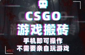 CSGO游戏挂G捡漏，单日扫货5张+，年底小高峰上车可吃肉，手机即可操作，兼职副业创业网创【揭秘】-第一资源库
