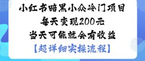 小红书暗黑小众冷门项目每天变现2张当天可能就会有收益-第一资源库