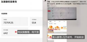 游戏加速器项目4.0_最新打法思路(爱玩游戏也能边玩边被动收益)-第一资源库