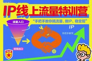 IP线上流量特训营,手把手教你搞流量、做IP、稳变现-第一资源库