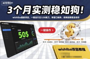 3个月实测稳如狗!wishlba最新项目,一键运行日入50美刀,单窗口躺挣,保姆级教程全给你【揭秘】-第一资源库