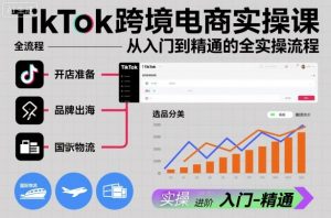 TikTok跨境电商实操课，从入门到精通的全实操流程-第一资源库