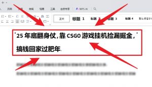 25年底翻身仗，靠CSGO游戏挂G捡漏掘金，搞钱回家过肥年【揭秘】-第一资源库