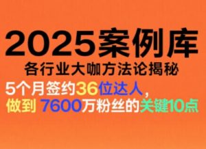 2025案例库，收录各行业大咖的方法论，各行业大咖方法论揭秘-第一资源库