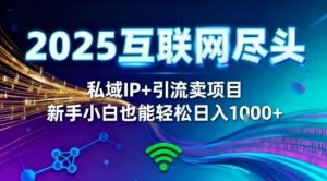 2025网创尽头王炸项目!私域IP+精准引流,新手小白在家躺賺日入1k,零经验也能上手【揭秘】-第一资源库