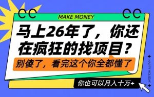 26年了，不要再疯狂的找项目了，看完这个你也可以月入十个W【揭秘】-第一资源库