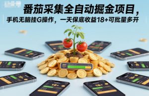 番茄采集全自动掘金项目,手机无脑挂G操作,一天保底收益18+可批量多开【揭秘】-第一资源库