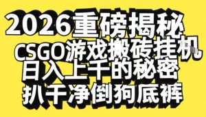 2026开年重磅解密,CSGO游戏搬砖挂G日入1k+的秘密,把倒狗的底裤扒干【揭秘】-第一资源库