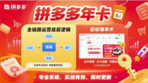 拼多多年卡,拼多多全链路运营底层逻辑,超级爆单术【更新12月】-第一资源库