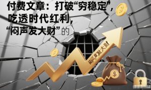 付费文章:打破“穷稳定”,吃透时代红利,“闷声发大财”的终极真谛-第一资源库