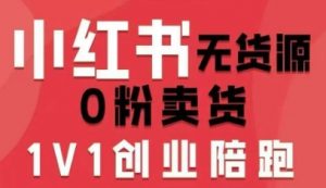 小红书无货源0粉电商课,开店准备、选品策略、笔记撰写、视频剪辑、数据分析、账号打造、资料文档(更新)-第一资源库