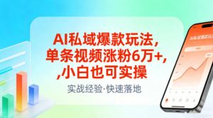 AI私域爆款玩法，单条视频涨粉6W+，小白也可实操-第一资源库