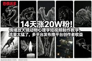 14天涨20W粉!情绪放大镜动物心理学短视频制作教学,流量太猛了,多平台发布撸平台创作者收益-第一资源库