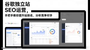 谷歌独立站SEO运营,手把手教你提升网站排名、分析竞争对手(更新2026)-第一资源库