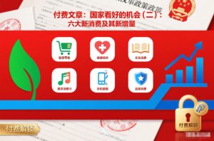 付费文章:国家看好的机会(二):六大新消费及其新增量-第一资源库