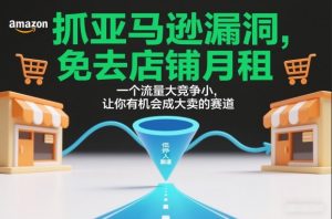 抓亚马逊漏洞，免去店铺月租，一个流量大竞争小，让你有机会成大卖的赛道-第一资源库