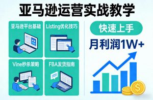 亚马逊运营实战教学，亚马逊平台+Listing优化+Vine秒杀+FBA发货等，快速上手，实现店铺月利润1W-第一资源库